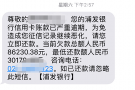 自贡自贡专业催债公司的催债流程和方法